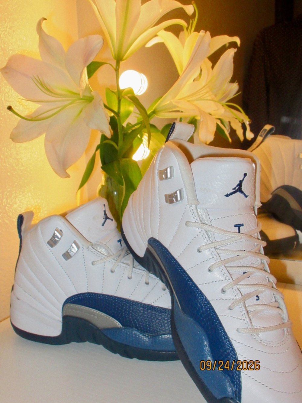 Air Jordan 12 retro (GS)